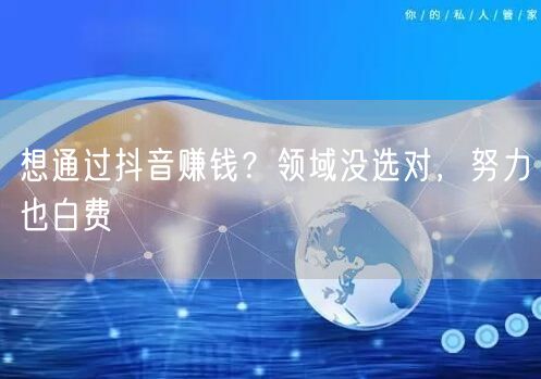 想通过抖音赚钱？领域没选对，努力也白费