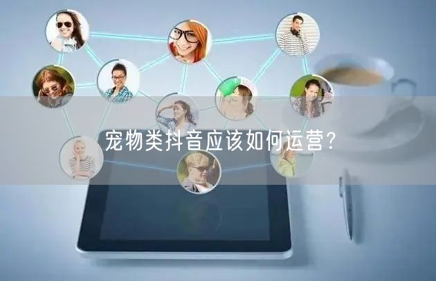 宠物类抖音应该如何运营？