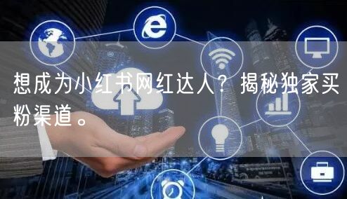 想成为小红书网红达人？揭秘独家买粉渠道。