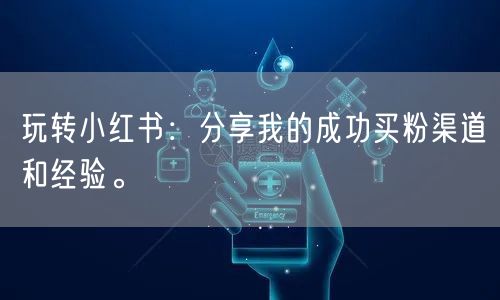 玩转小红书：分享我的成功买粉渠道和经验。