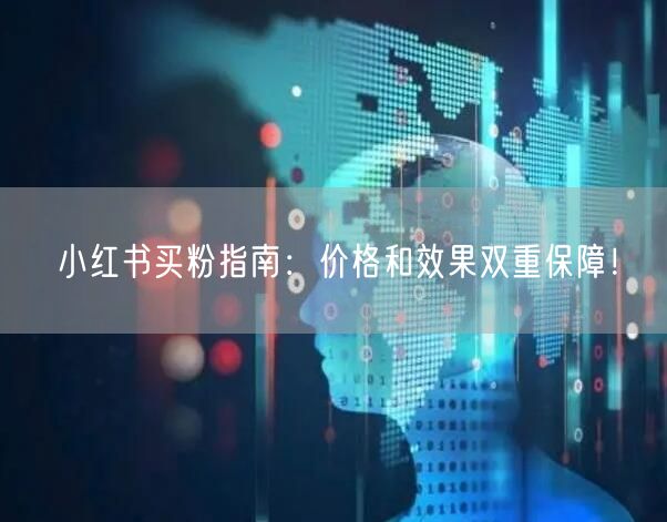 小红书买粉指南：价格和效果双重保障！