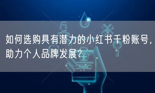 如何选购具有潜力的小红书千粉账号，助力个人品牌发展？