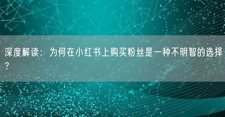 深度解读：为何在小红书上购买粉丝是一种不明智的选择？
